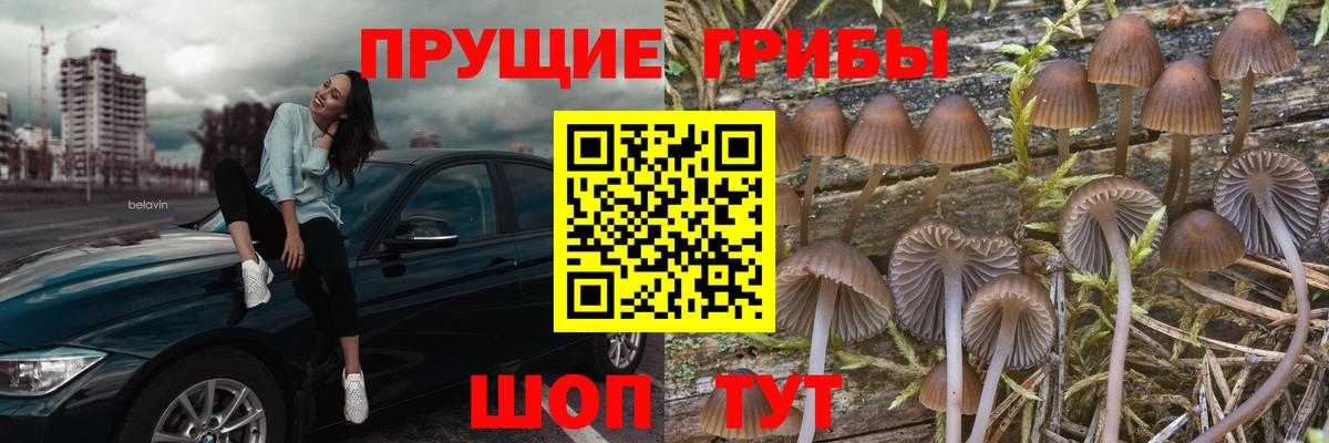 Галлюциногенные грибы Psilocybine cubensis  Вход с VPN  Южно-Сахалинск 